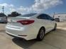 2015 WHITE HYUNDAI SONATA SE (5NPE24AF0FH) with an 2.4L engine, Automatic transmission, located at 4415 NE 28th St., Haltom City, TX, 76117, (817) 222-9334, 0.000000, 0.000000 - Photo#3