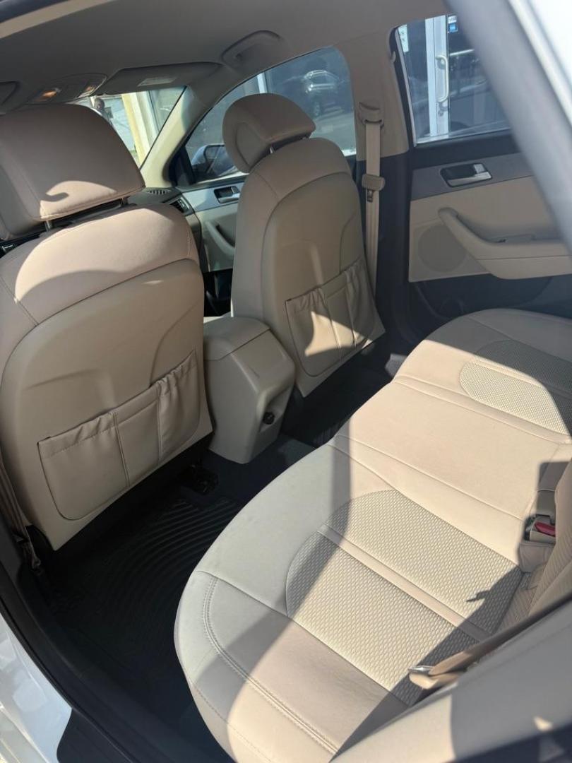 2015 WHITE HYUNDAI SONATA SE (5NPE24AF0FH) with an 2.4L engine, Automatic transmission, located at 4415 NE 28th St., Haltom City, TX, 76117, (817) 222-9334, 0.000000, 0.000000 - Photo#5