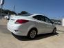 2016 WHITE HYUNDAI ACCENT SE (KMHCT4AE1GU) with an 1.6L engine, Automatic transmission, located at 4415 NE 28th St., Haltom City, TX, 76117, (817) 222-9334, 0.000000, 0.000000- Photo#3